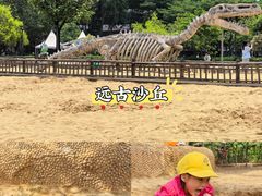 -海珠儿童公园