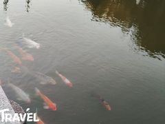 -檀园