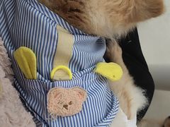 -怪兽屋·羊驼·猫咖·狗咖(俊华广场店)