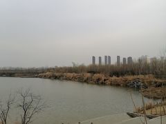 -西安浐灞国家湿地公园