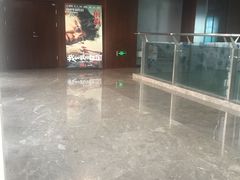 -天幕新彩云国际影城(激光巨幕店)