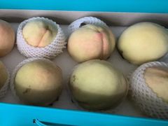 -老袁家蜜桃农场·阳山水蜜桃