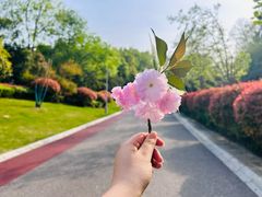 -桃花岭景区