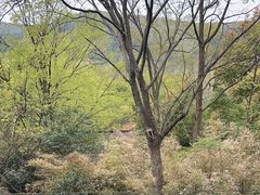 -天目湖御水温泉·度假酒店