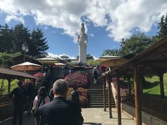 -南诏风情岛