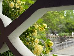 -苏州文庙(姑苏区)