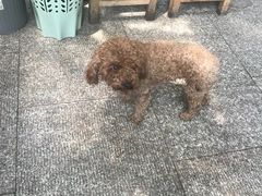 -张鸟园农家乐(张鸟园店)