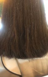 -东宫造型Eastern palace