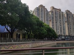 -西北湖绿化广场