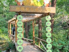 -大岭沟猕猴桃谷风景区