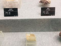 -甘肃地质博物馆
