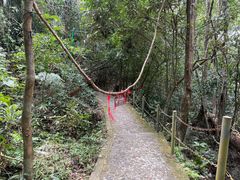 -七仙岭温泉国家森林公园