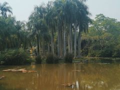 -中国科学院西双版纳热带植物园
