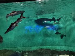 -太平洋海底世界