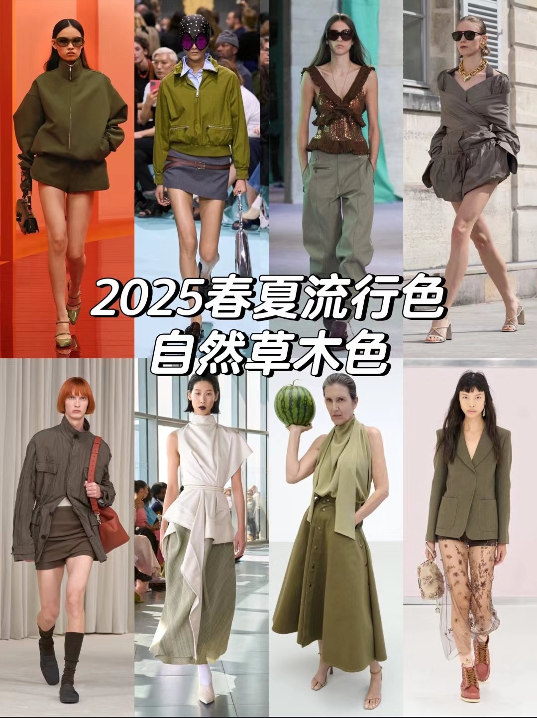 2025春夏自然草木色流行趋势