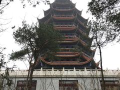 -铁山坪森林公园