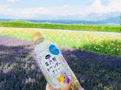 -富田农场