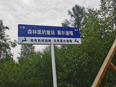 -莫尔道嘎国家森林公园