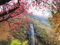 -少华山国家森林公园