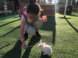 -萌宠亲子动物乐园(槐房万达店)