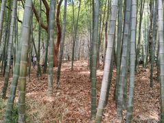 -虞山风景区