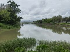 -福田红树林生态公园