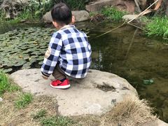 -秀丽东方