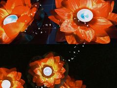 -郑州方特梦幻王国