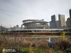 -梅溪湖城市岛