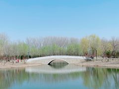 -东郊湿地公园
