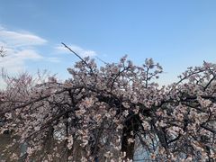 -白塘生态植物园