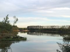 -东郊湿地公园
