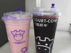 -一只酸奶牛(奎星楼店)
