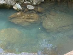 -华蓥山天意谷景区