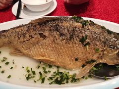 -粤北餐馆