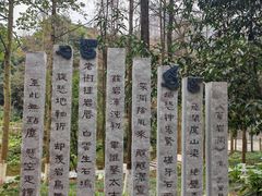 -重庆彩云湖湿地公园
