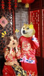 点击看大图 -金夫人婚纱摄影(华南店)