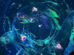 -海合安成都极地海洋公园