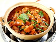 -九道菜有鸡鱼头(石鼓路店)