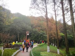 -重庆彩云湖湿地公园