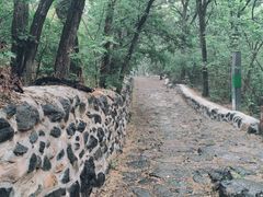 -阳台山自然风景区