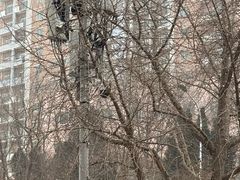 -添福来墨鱼饺子 · 海鲜东北菜(大连星海·黄浦路店)