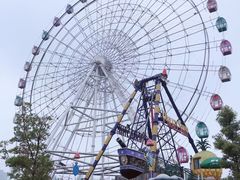 -洋湖国家湿地公园