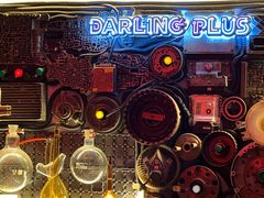 -Darling Queen·Mini·Live·House