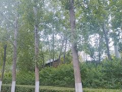 -滨湖塘西河公园