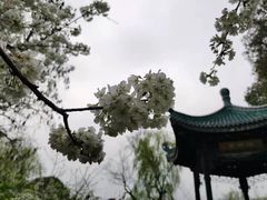 -无锡梅园公园