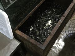 -大理.老字号渝记酸萝卜乌鱼(古城总店)