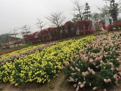 -盈香心动乐园