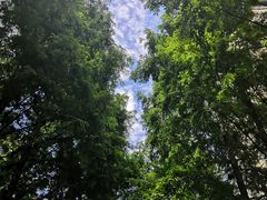 -西安理工大学(金花校区)