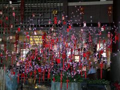 IMG_5478-余姚阳明温泉山庄